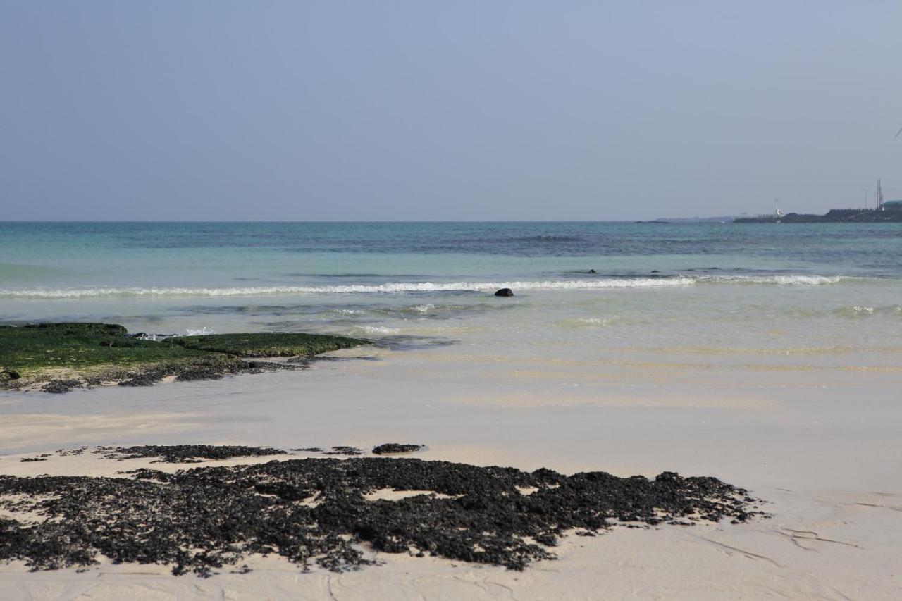 Lunamar Pension Jeju Luaran gambar